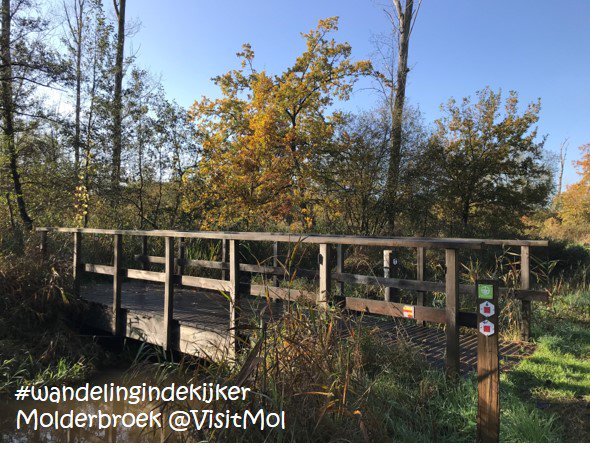 VisitMol's tweet photo. #wandelingindekijker #molderbroek
De Molse Nete zorgde in het verleden zowel plaatselijk als in het centrum van Mol voor wateroverlast. Na aanleg van een overstromingsgebied, kreeg het de naam Molderbroek.
https://t.co/Vnw0KqxuO2 https://t.co/7h8n9EM2E9