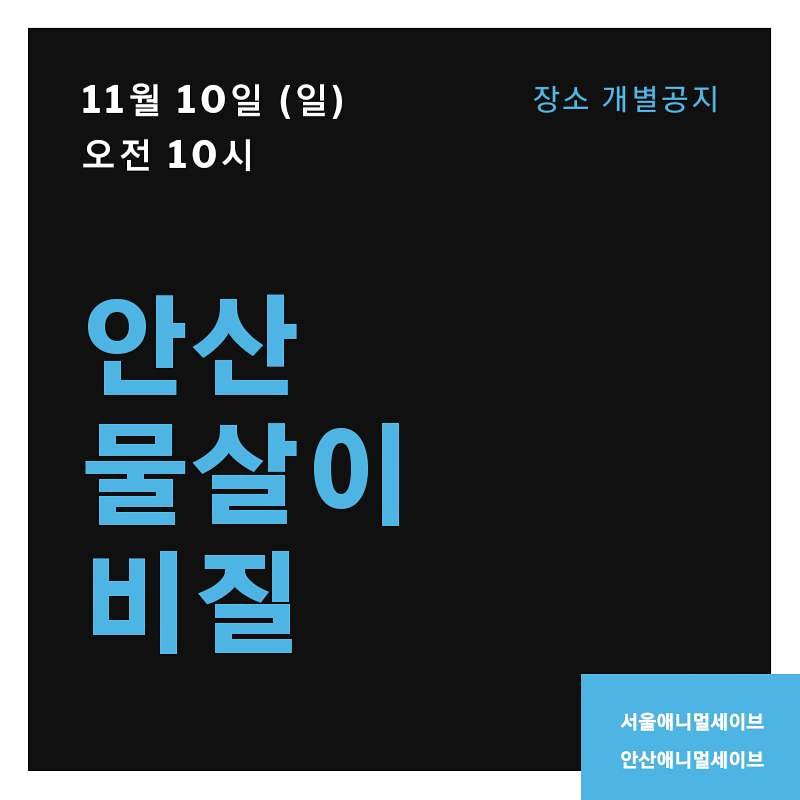 ansananimalsave's tweet photo. <안산 물살이 비질>
11월 10일 오전 10시
장소는 개별공지
오랜만에 안산에서 물살이 비질을 갑니다. 지역의 풀뿌리 활동에도 힘이 되어주세요. 
신청 : https://t.co/MADj0UeKUb
#서울애니멀세이브 @SeoulAnimalSave https://t.co/GAk4tVXPco