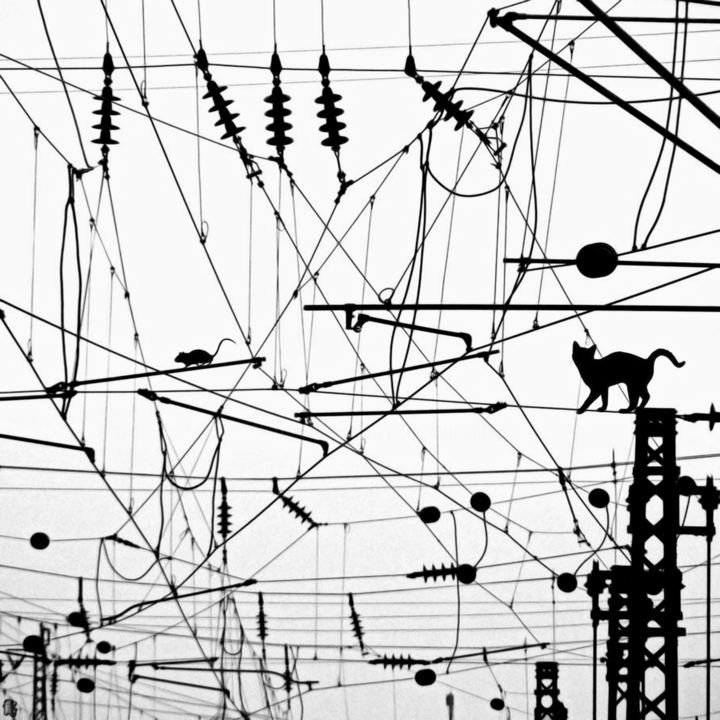 Buy: La Centrale Electrique (2019)
Original Art, Digital Arts 50x50x0.1 cm by Jean-Marie GITARD alias Mr STRANGE (France)
Buy the original: €90.00
ID 12749042 @artmajeur

#Illustration
#Animals #art #cat #train
#centraleélectrique
#fils
#cables
#transformateurs
#chat
#rat