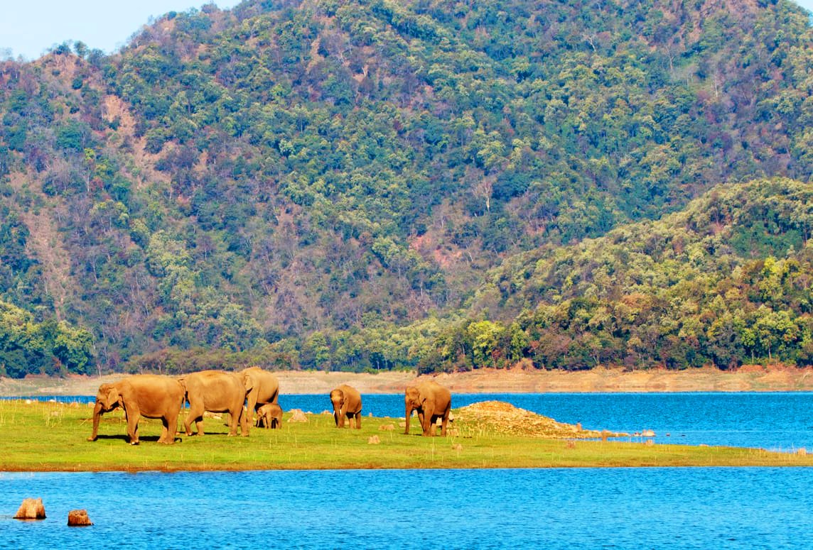 VanvasaR's tweet photo. Beautiful creatures on earth.. https://t.co/xoN4LaqDqB