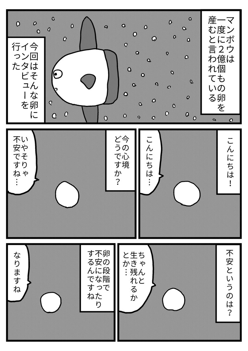 【マンガ】マンボウの卵にインタビュー!(1/2) 