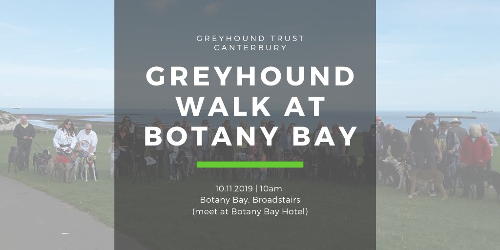 If you have a #greyhound or are thinking about rehoming one, we'd love you to join us on Sunday for our monthly meet-up and walk at #BotanyBay! You'll meet lots of other greyhound owners and have a lovely walk with all the dogs. 🐶🐾