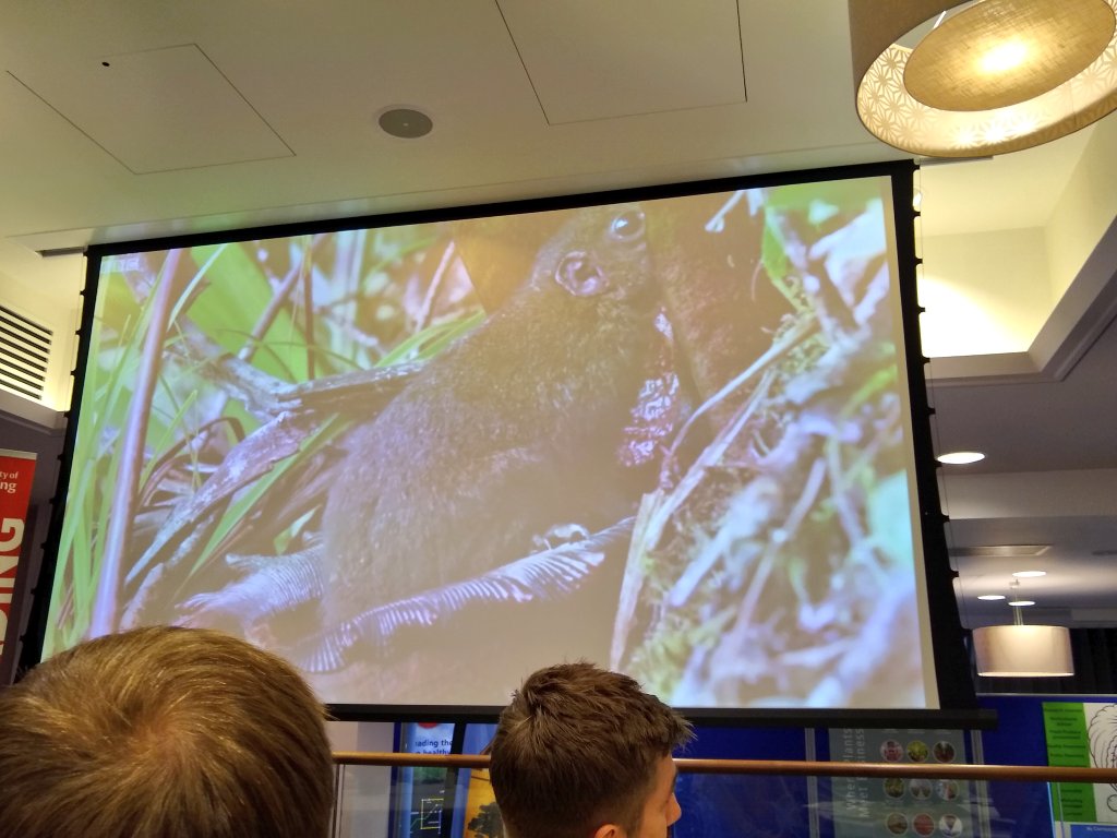 We've go to the subject of POO! So much for #botany being a nice subject 🤢 and WEE now as well.  Come on <a href="/thorogoodchris1/">Chris Thorogood</a> - keep it clean! 🙂 #bigbotanychallenge