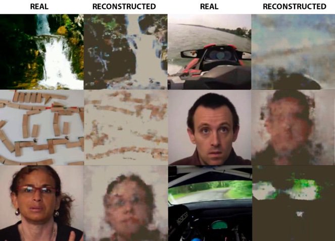 Esto es sencillamente alucinante...

Una IA ha sido capaz de replicar las imágenes que está viendo una persona a partir de sus ondas cerebrales. Decodifica sus pensamientos y los reconstruye en tiempo real. xfru.it/ejtepw #IA