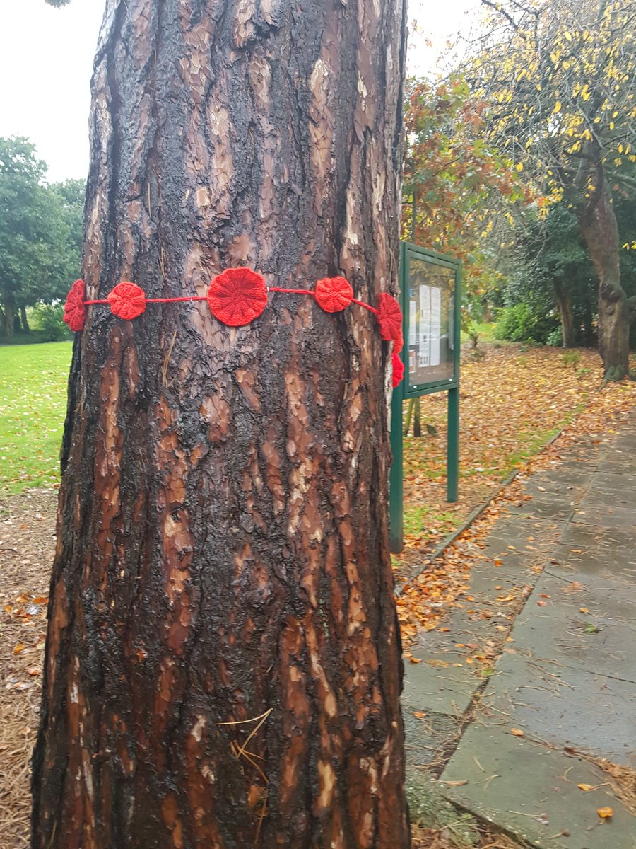 Thankyou to our volunteers lynne julie David and sarah  130 knitted poppies placed in the trees  at Hill house gardens for remembrance  day <a href="/heswallmagazine/">Heswall Magazine</a> @wirralsouth <a href="/ActionOnWirral/">Community Action Wirral</a> <a href="/TNLComFund/">The National Lottery Community Fund</a> <a href="/HeswallHall/">Heswall Hall</a> <a href="/WIRRALGLOBENEWS/">Wirral Globe</a> <a href="/WirralLibraries/">Wirral Libraries</a>