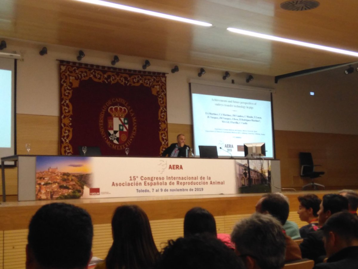 Fernando tweet media