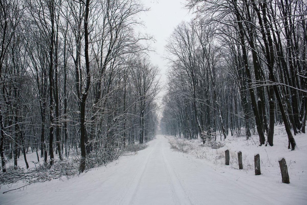 BuzzmoveHQ's tweet photo. Winter weather is unpredictable at the best of times, which isn't ideal for those looking to move home. ☃️❄️💧🌫️

So we've put together 12 Tips of Moving in Winter!

Click the link to read now:
https://t.co/tlYMzKSQnb https://t.co/5N2pUCW3r8