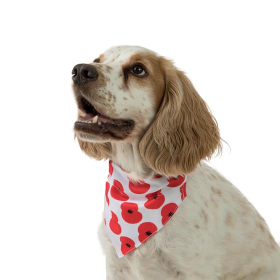 The <a href="/PoppyLegion/">Royal British Legion</a> and @PetsatHome  have teamed up to offer a range of pet products so that our furry friends can also show their support to our Armed Forces community.  Pop into Eastgate to get your bandana or collar charm and know that all profits are going to the Legion! 🐶