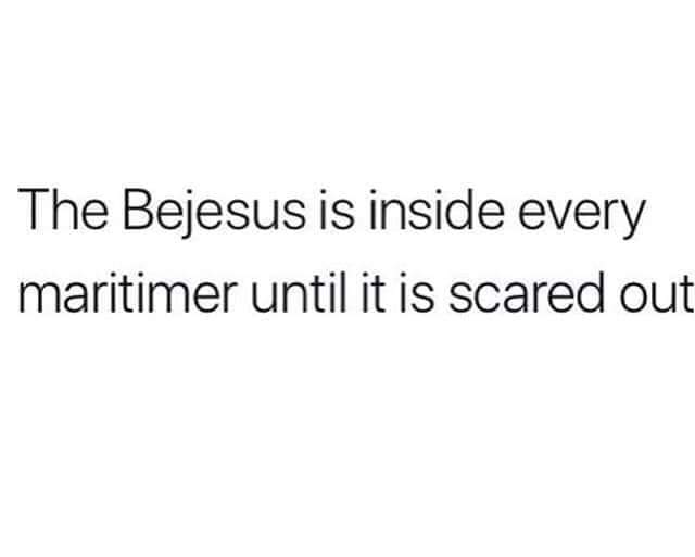 JennKidson's tweet photo. #scaredthebejesusouttame #maritimer https://t.co/B92jtGnxh3