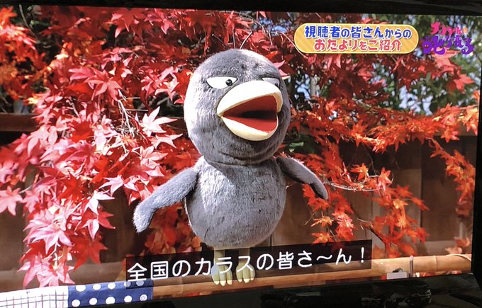19年11月8日 金 チコちゃんに叱られるで話題になったワード トレンドアットtv