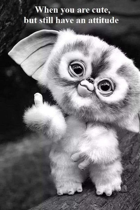 Yep that's me! https://t.co/LaWbsF7iIE<a href="/tag/loveyou"class="tags"><span>#loveyou</span></a><a href="/tag/miamour"class="tags"><span>#miamour</span></a><a href="/tag/kingpyrexia"class="tags"><span>#kingpyrexia</span></a>