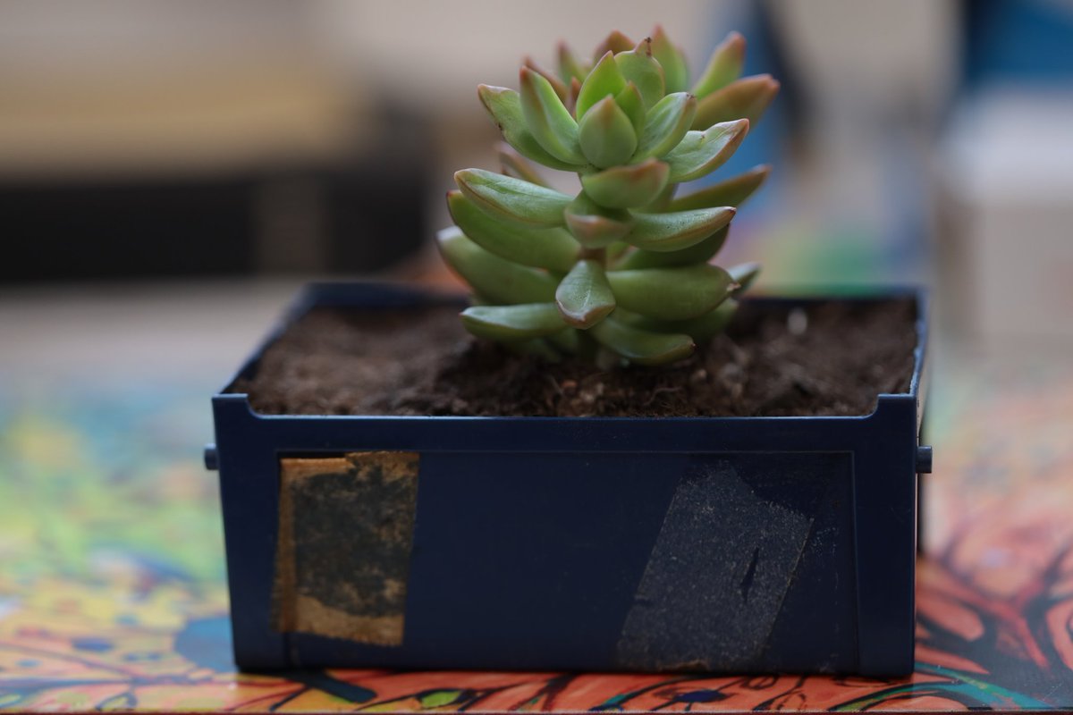 albelsingh's tweet image. #starlabsustainabilityweek