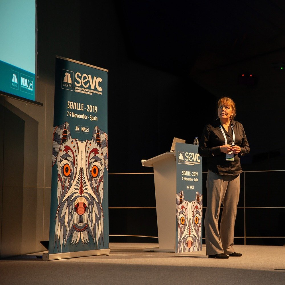 Sevc2019 Hashtag On Twitter