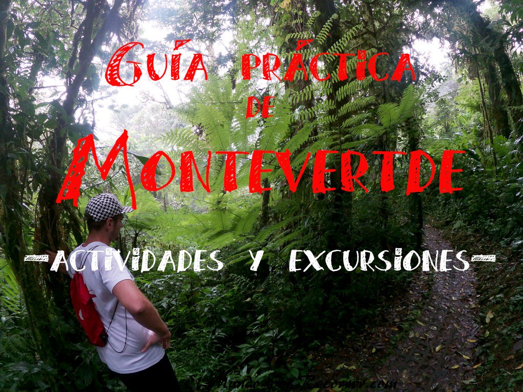 MundoRecorrer's tweet photo. ¿Qué hacer en Monteverde? -Aventura y Selva en Costa Rica- https://t.co/aHzscZO8PC https://t.co/QVNaDfe9yg