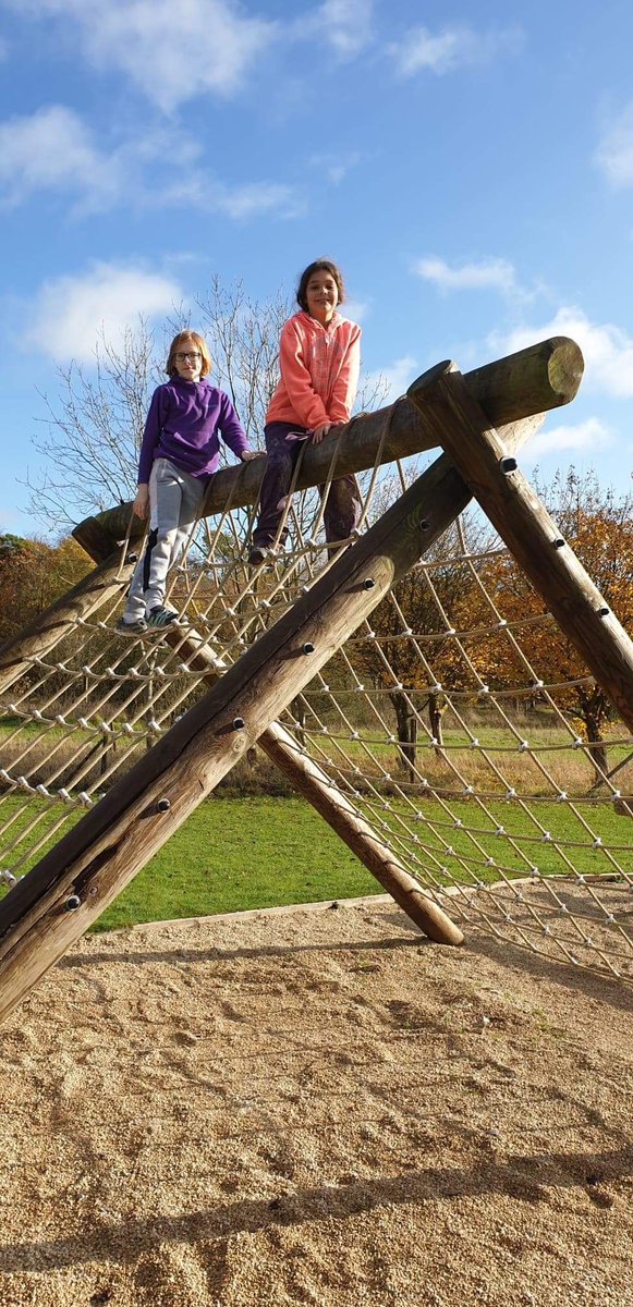 Cam Everlands tweet media