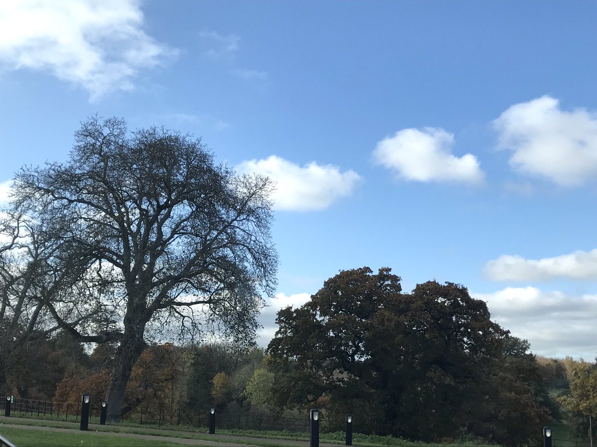 kreeve's tweet image. MA and BA students from illustration, publishing, early years, writing for young people all out in the wonderful grounds of @BathSpaUni this morning gathering ideas and inspiration ready to create a children’s nature book idea #SpaWeek #interdisciplinarylearning