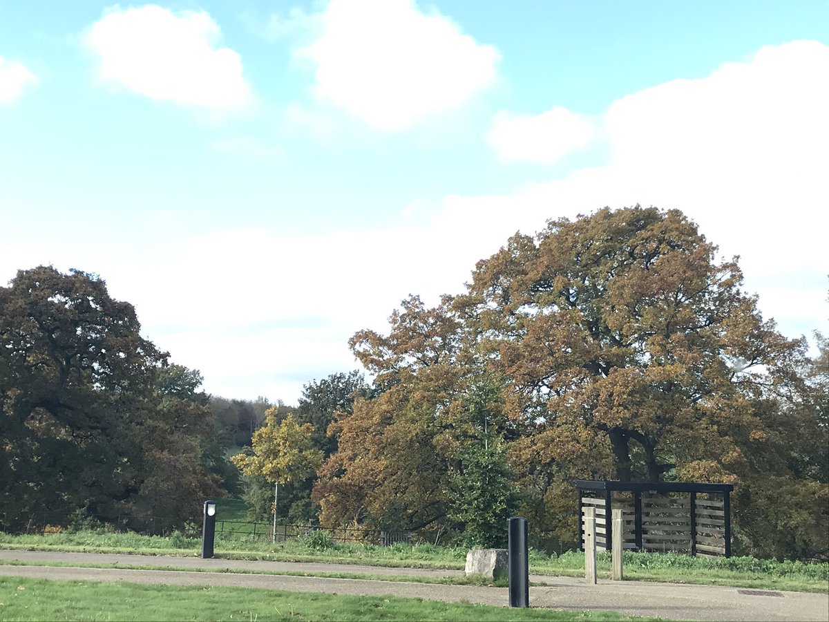 kreeve's tweet image. MA and BA students from illustration, publishing, early years, writing for young people all out in the wonderful grounds of @BathSpaUni this morning gathering ideas and inspiration ready to create a children’s nature book idea #SpaWeek #interdisciplinarylearning