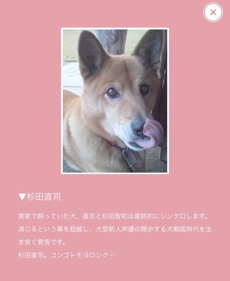 まいと 犬アニメのキャスト 大御所やベテランがみんな 犬 のついた名前に微妙に変わってて このアニメ がデビュー作としてコメントしてる中 ひとりだけ 犬 が名前についてないな と思ったら実家の犬て 直司と杉田智和は最終的にシンクロします