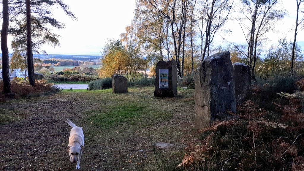 MorayTours's tweet image. Content Creation with @KimGPhoto at #mstconf19 @MoraySpeyside Being personal, show what your area has to offer #MoraySpeyside #GoExplore #Autumn #dogfriendly #getoutdoors #socialmedia
@forestryls @MoraySpeyside