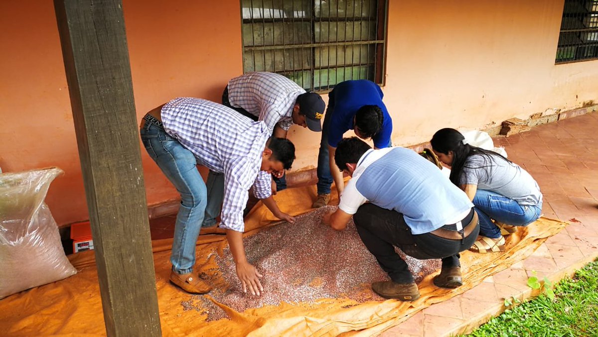 magparaguay's tweet photo. #CDASanPedro técnicos de la Agencia Local de Asistencia Técnica #ALAT de Itacurubí del Rosario Práctica brindaron una capacitación sobre "Formulación de fertilizantes según requerimientos de cultivos" https://t.co/NbOENEvmkP