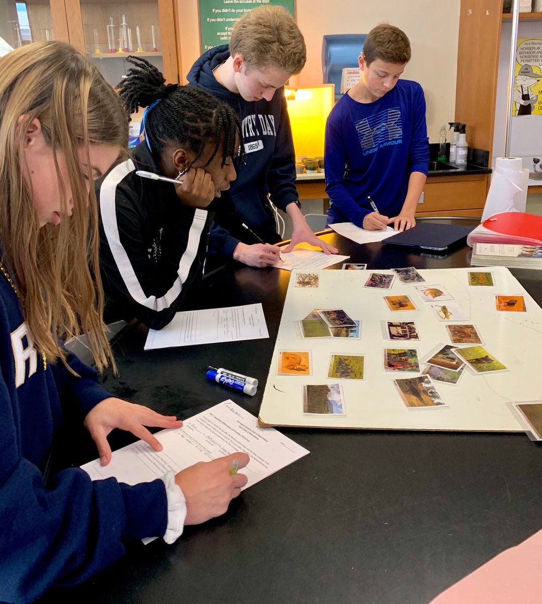 ryecountryday's tweet photo. Grade 9 Biology students are learning how to build model food webs from the savanna ecosystem of Gorongosa National Park in Mozambique. #RCDSClassroomCandids #biointeractive https://t.co/TJjjoq9wLU