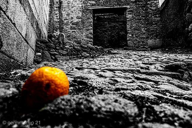 Orange on the ground 0001 #black #blackyellow #bwoftheday #toptags #noiretblanc #noirlovers #bwbeauty #white  #blancinegre #monochrome #bw_lover #bnw_creatives #blancoynegro #total_bnw #art #bw_society #bnw_fabulous #blackandwhite #www_bnw #bwstyles_gf #bwgermmanyo #orange #…