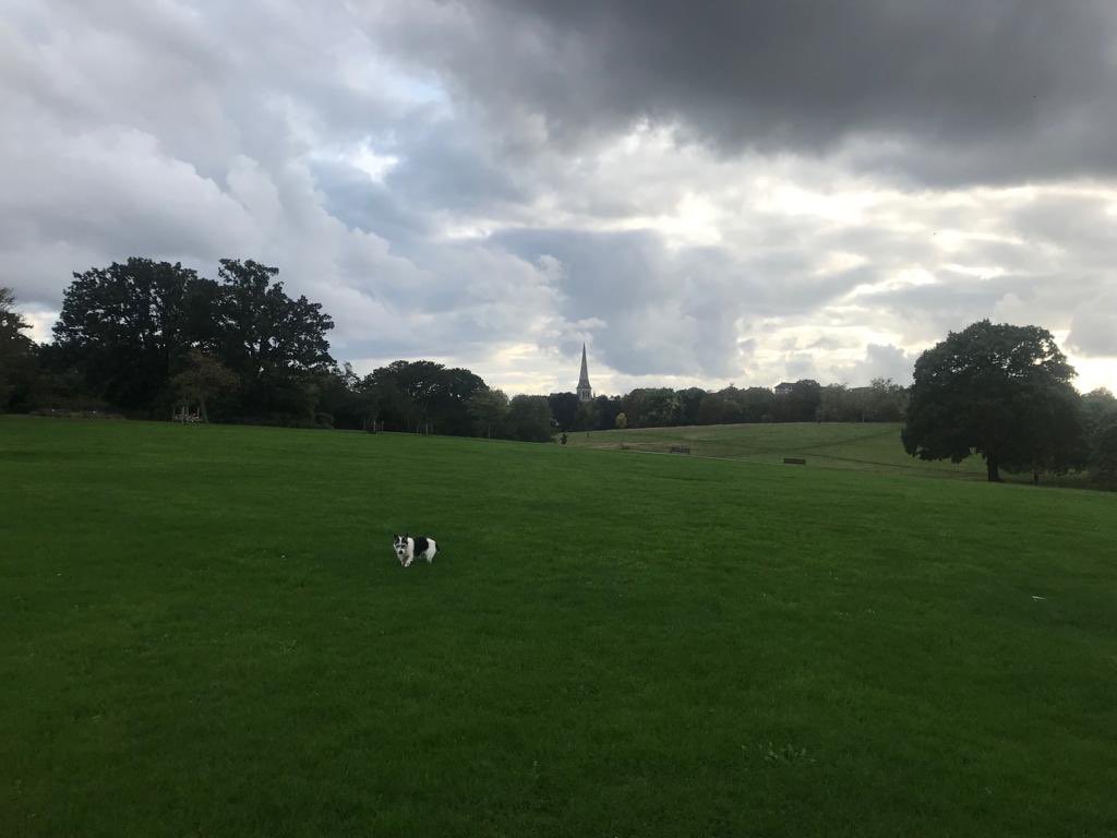 PuzzleEno's tweet photo. Rolling clouds, a spire escaping the clutch of a menacing forest, a vast meadow and I. How do we all come together in this way and what, oh what, does it all mean? https://t.co/sx1Jtke1rO