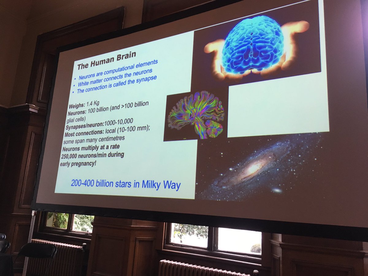 Ruth Morgan tweet media