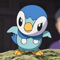 piplup 
