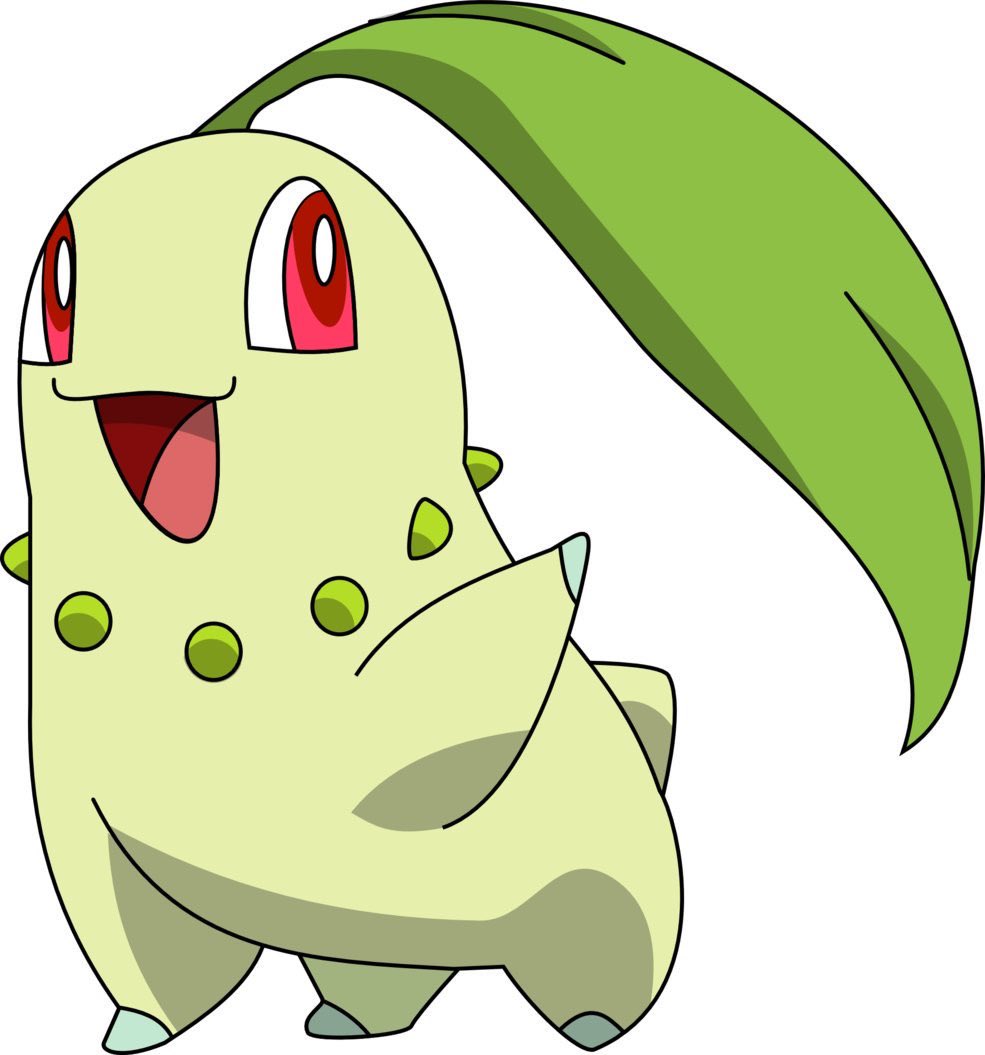 chikorita 