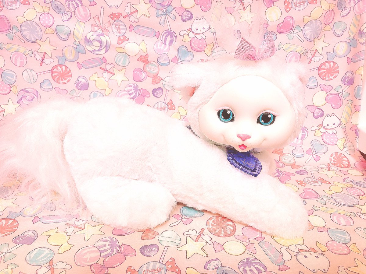 Lemonade Pa Twitter キャットサプライズ来た めっちゃファンシーかわいいです お腹赤ちゃんが入ってて赤ちゃんも小さくって かわいいのですฅ W ฅ キャットサプライズ ファンシートイ ぬいぐるみ 猫のぬいぐるみ Lemonade Pa Twitter キャットサプライズ来た めっちゃファンシーかわいいです お腹赤ちゃんが入ってて赤ちゃんも小さくって かわいいのですฅ W ฅ キャットサプライズ ファンシートイ ぬいぐるみ 猫のぬいぐるみ