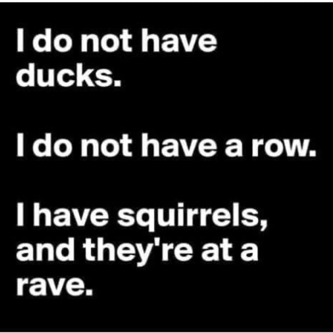 CSBraintree's tweet photo. Anyone else having a week like mine? 😂🤣😂 https://t.co/LjAyxp6KIC