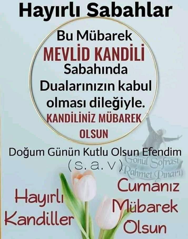 Hikmet (@hikmet26954645) on Twitter photo 