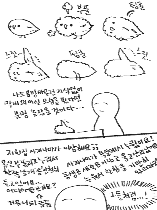 막내의 첫목욕 