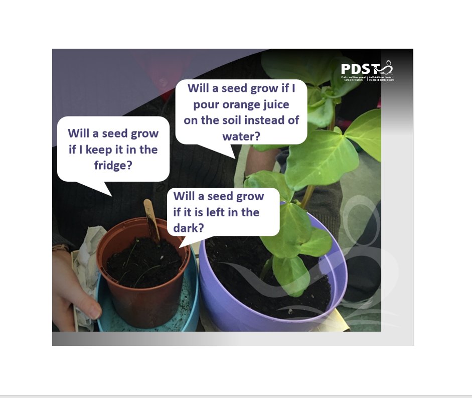 OidePrimarySTEM's tweet photo. To celebrate @ScienceWeek 2019, we are asking you to send us your TESTABLE QUESTIONS! A Testable Question is a question that facilitates investigations or inquiries
in the classroom, giving pupils the chance
to work like scientists. #PDSTTestableQ @PDSTie @ScoilnetPrimary https://t.co/jjmLi7ZSIU