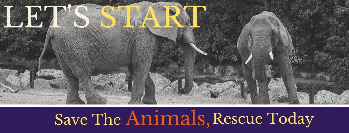 STARTPH2019's tweet image. 