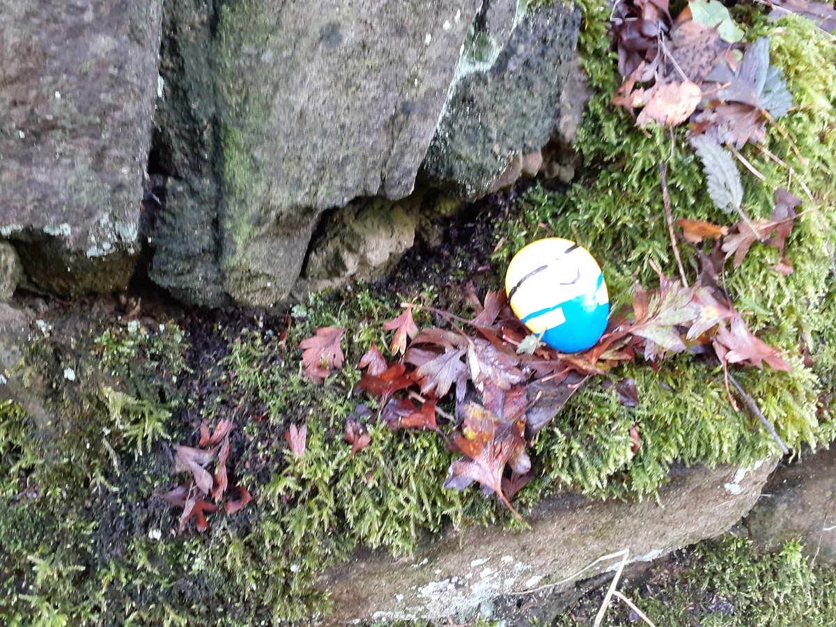 thackleyrocks's tweet photo. Fab walk in the sunshine and found a few #ThackleyRocks. Left them where they were to bring smiles to other peoples faces xx https://t.co/xG9SCK8mbM