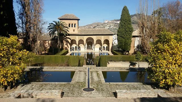 alhambradegrana's tweet photo. Estampa inconfundible de la Alhambra y donde se resume todo: belleza, arquitectura y jardines nazaríes en los Jardines de El Partal

#Photography #Instapics #Fotografía #Alhambra #Alhambrapics #JardinesdelPartal #ElPartal #Granada https://t.co/P8rQpEwBYH https://t.co/4w9UY5rvyy