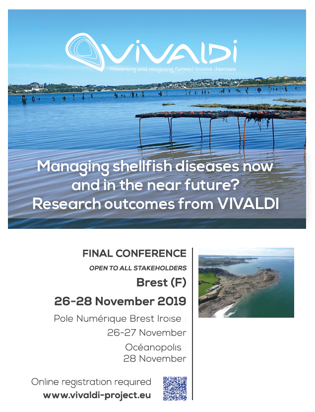 MarineInst's tweet photo. Managing shellfish diseases now and in the near future? 
FINAL conference of the @VivaldiEUProj will take place in Brest, France, 26 - 28 November. Open to all stakeholders. 
For more information please click on the link -  #marine #shellfishdisease #H2020 https://t.co/67dg2sh2Gx