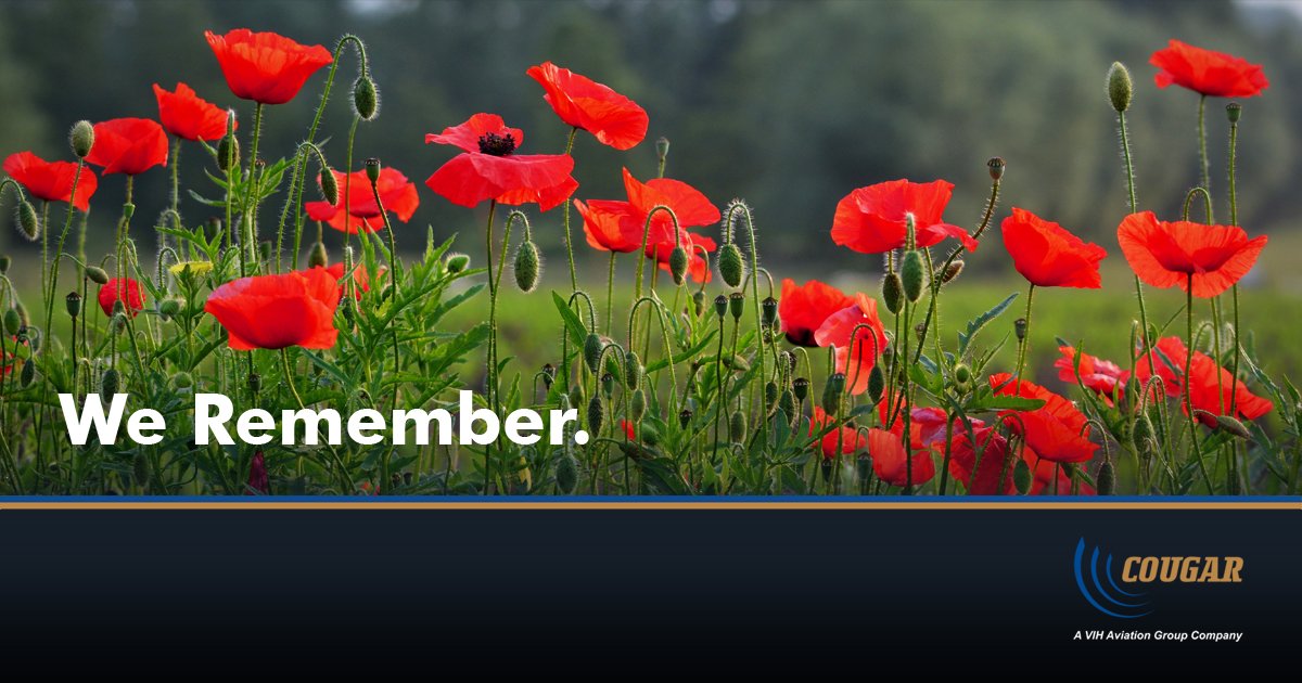 #GetYourPoppy  #RemembranceDay