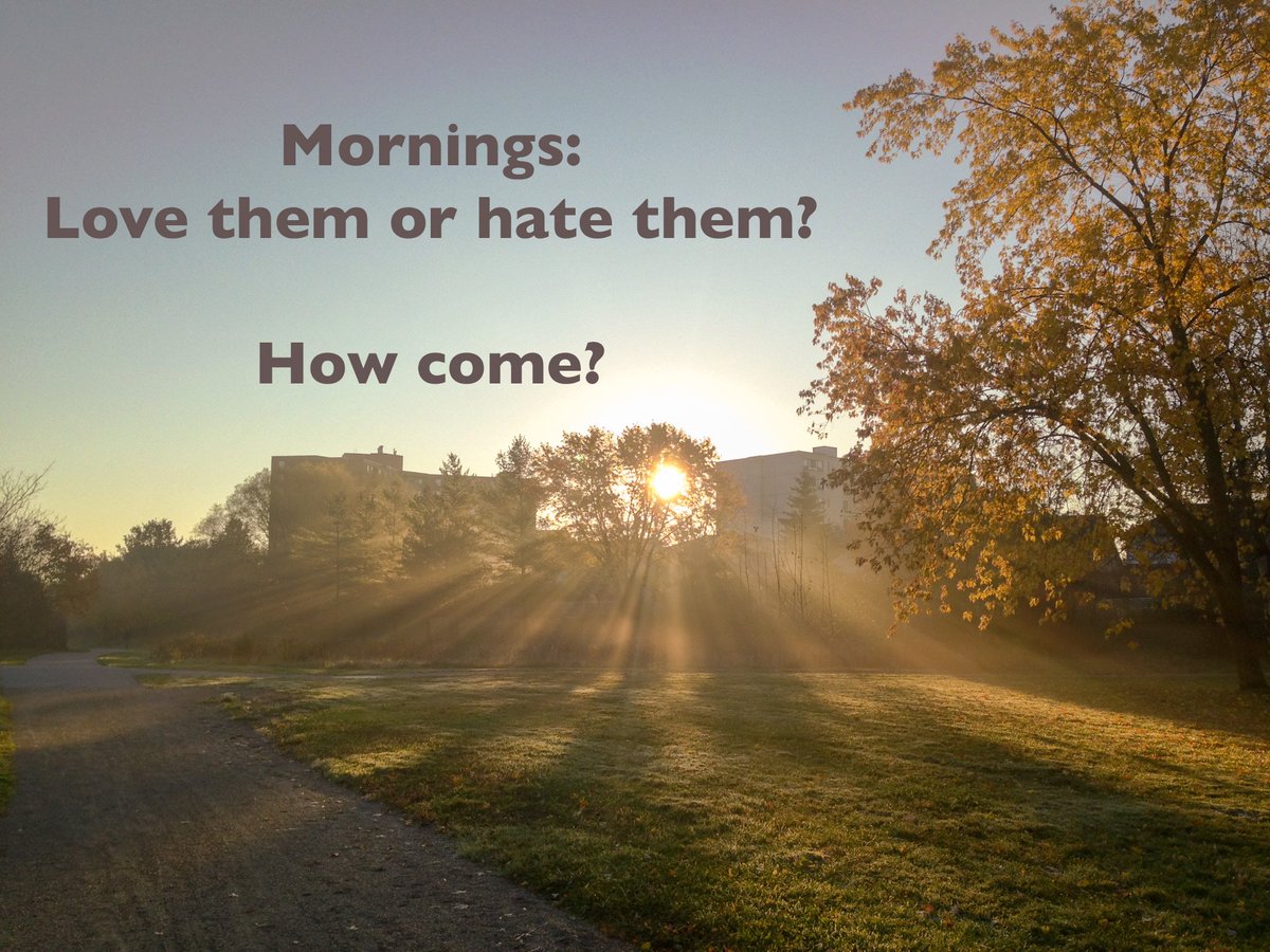 CalvinKitchener's tweet image. #DiscussionQuestion #LoveItOrHateIt #CoffeeFirst