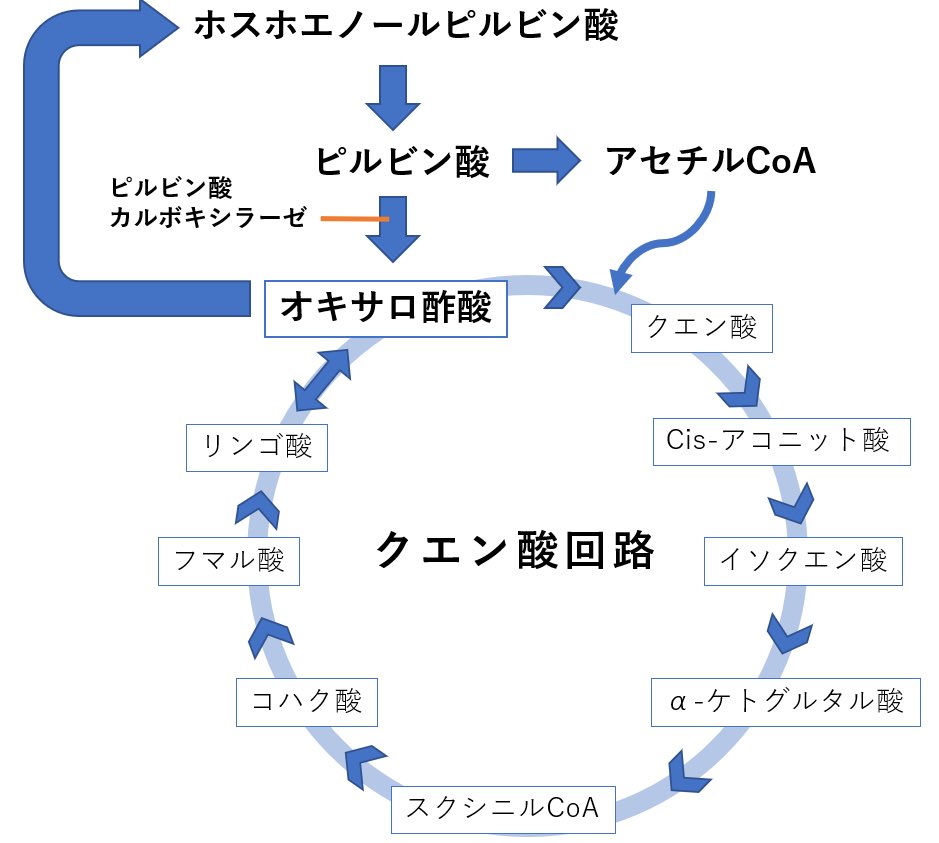 アコニット酸デカルボキシラーゼ Aconitate decarboxylase JapaneseClass.jp
