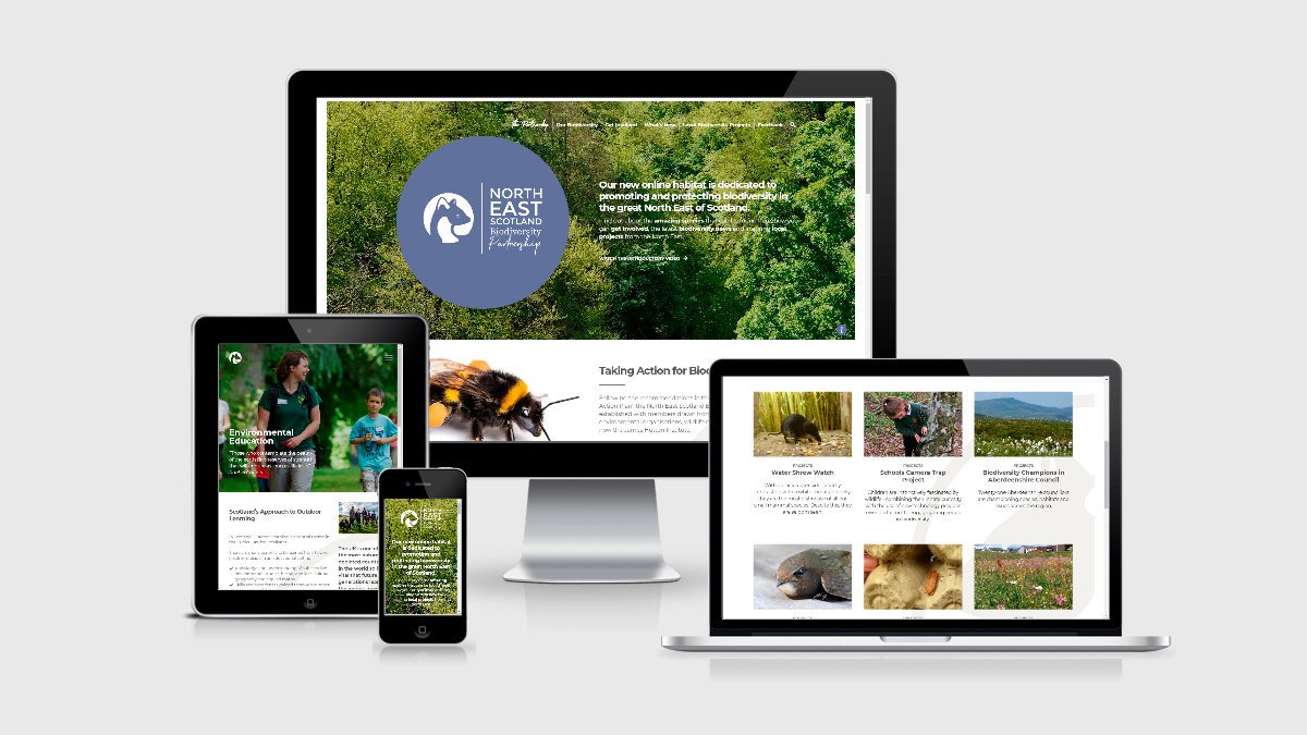 urwinstudio's tweet photo. Loved creating the new site for the wonderful North East Scotland Biodiversity Partnership. For info on local species and habitats, inspiring local projects and how to get involved visit https://t.co/NaunCSmN4T. Beautiful brand identity by @ms_creative_ltd #webdesignscotland https://t.co/DKMz9EuXv7