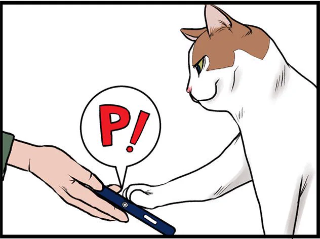 猫パンチTVで毎週木曜日4コマ(8コマ)漫画掲載中。  ネコぐらし  #猫マンガ 