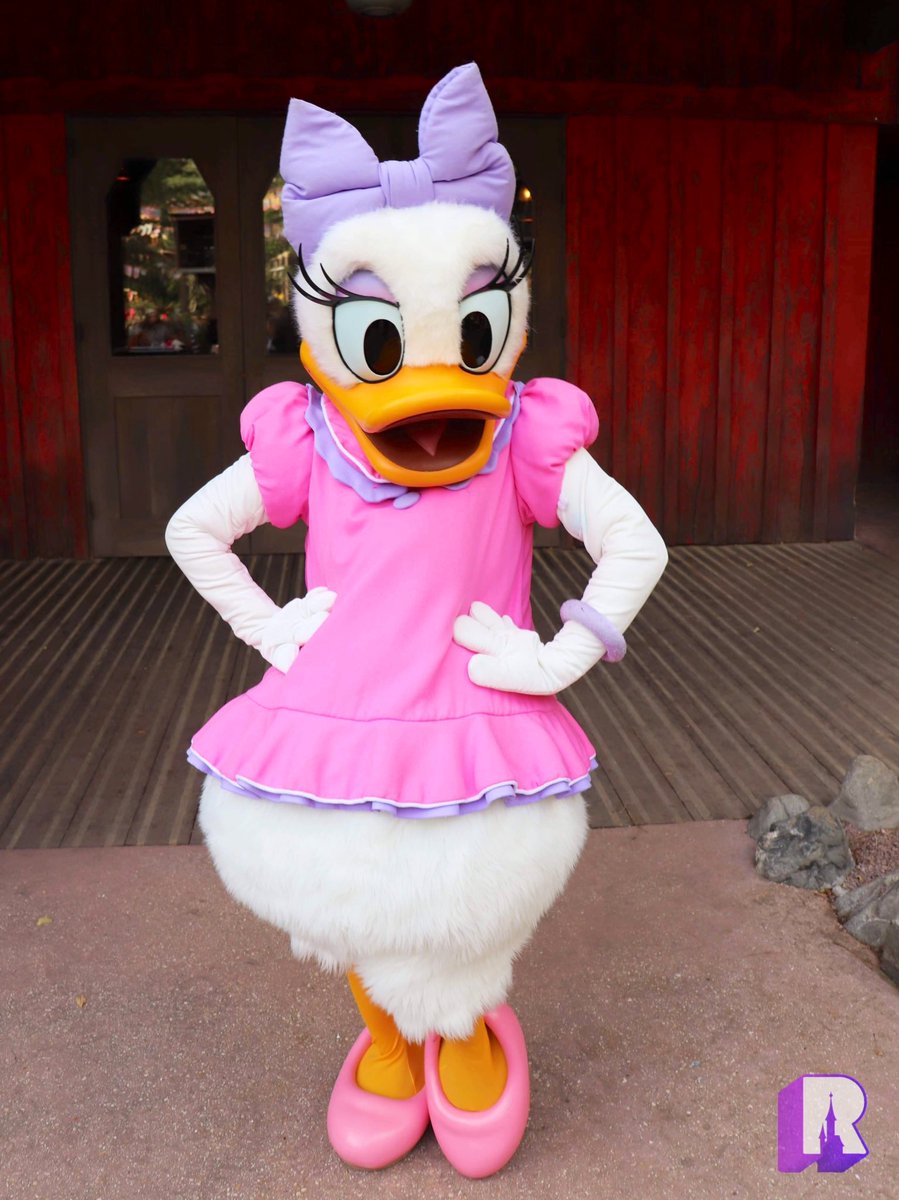 Richydisney On Twitter The Size Of Minnie S Wardrobe And She