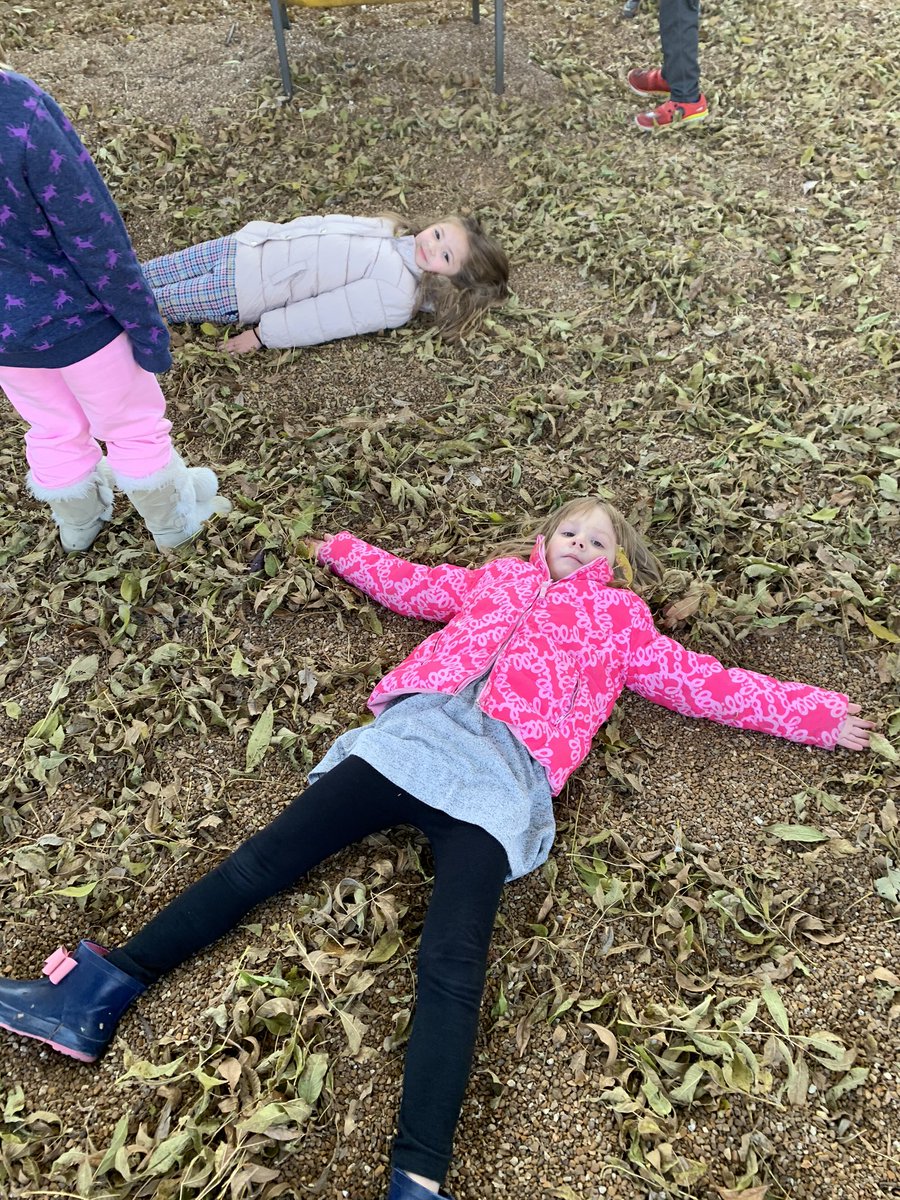 CCLSHamilton's tweet photo. Leaf angels! #fallfun @CCLSChargers https://t.co/C3KY5mg0cN