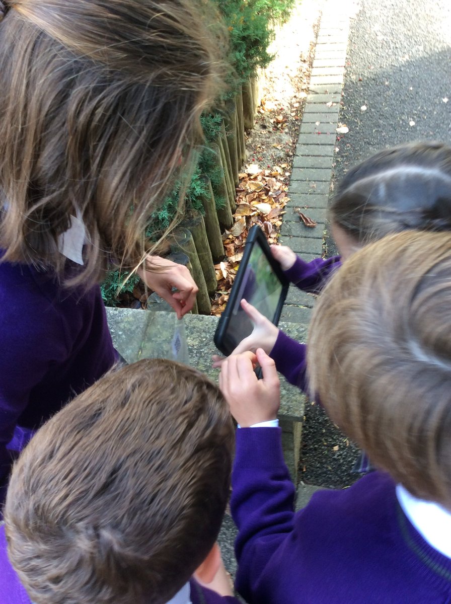 WycliffePrep's tweet image. Over the past few weeks, Year 7 have been learning about giving and listening to directions in French. They designed a treasure hunt around the Prep School using QR codes; involving recording french instructions and embedding QR codes into ipads. #learningwithtechnology