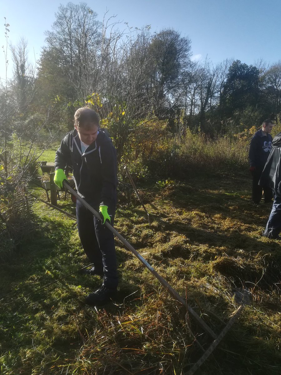 Greening Our City tweet media
