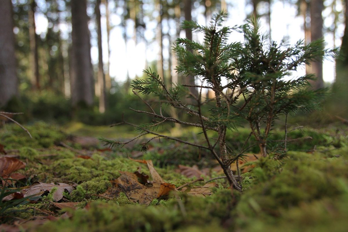 CICERO_klima's tweet photo. Hvordan manøvrere i landskapet av informasjon om #klimarisiko? En ny rapport fra CICERO gjennomgår hva slags klimarelevant informasjon om bedrifter som i dag tilbys og hvordan ulike kilder kan brukes til å forstå klimarisiko. Les mer: https://t.co/uuqS2uwgJY #SustainableEdge https://t.co/XndSbGGRAn