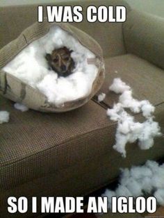 CarrierCESC's tweet photo. There’s no need to freeze, Carrier Enterprise is here! #lol https://t.co/1R3NjckkQD